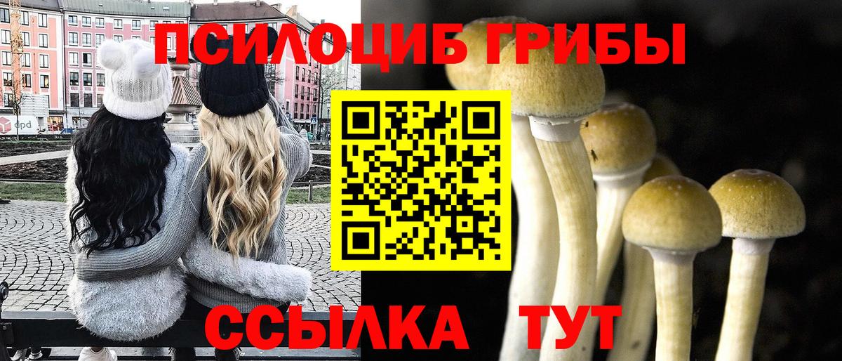 Елизово  Псилоцибиновые грибы Cubensis  Вход с VPN 
